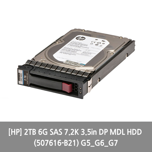 [서버HDD][HP] 2TB 6G SAS 7.2K 3.5in DP MDL HDD (507616-B21) G5_G6_G7